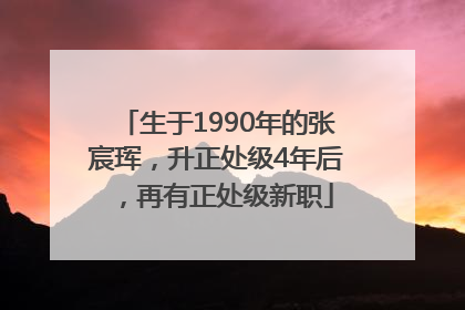 生于1990年的张宸珲，升正处级4年后，再有正处级新职