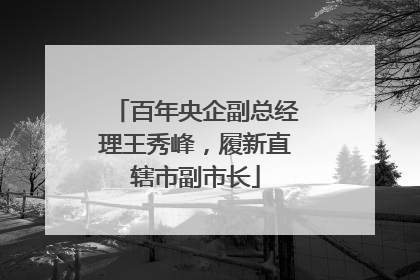 百年央企副总经理王秀峰，履新直辖市副市长