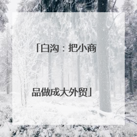 白沟：把小商品做成大外贸
