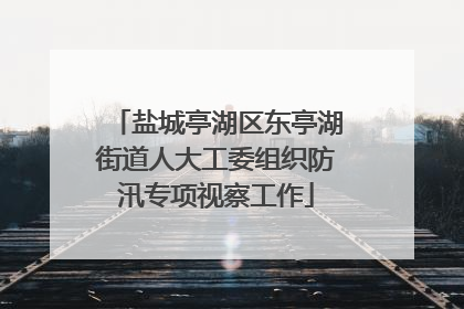 盐城亭湖区东亭湖街道人大工委组织防汛专项视察工作