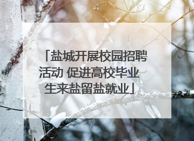 盐城开展校园招聘活动 促进高校毕业生来盐留盐就业