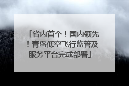省内首个！国内领先！青岛低空飞行监管及服务平台完成部署