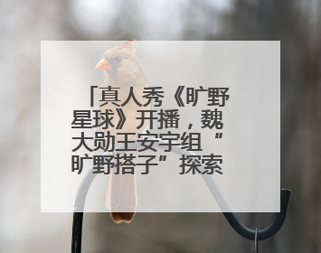 真人秀《旷野星球》开播，魏大勋王安宇组“旷野搭子”探索自然
