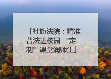 社旗法院：精准普法进校园 “定制”课堂润师生