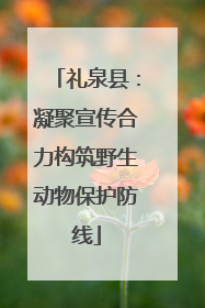 礼泉县：凝聚宣传合力构筑野生动物保护防线