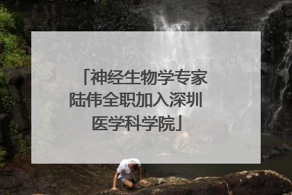 神经生物学专家陆伟全职加入深圳医学科学院
