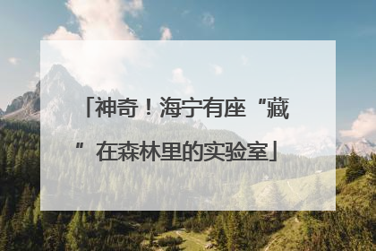 神奇！海宁有座“藏”在森林里的实验室