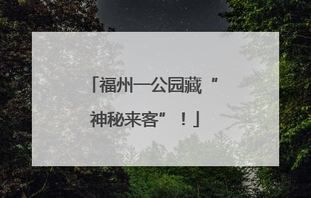 福州一公园藏“神秘来客”！