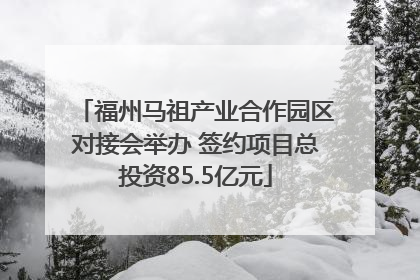 福州马祖产业合作园区对接会举办 签约项目总投资85.5亿元