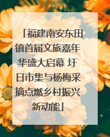 福建南安东田镇首届文旅嘉年华盛大启幕 圩日市集与杨梅采摘点燃乡村振兴新动能