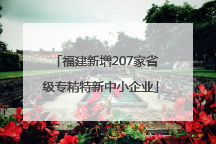 福建新增207家省级专精特新中小企业