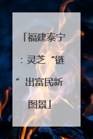 福建泰宁：灵芝“链”出富民新图景