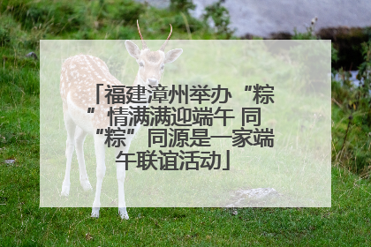 福建漳州举办“粽”情满满迎端午 同“粽”同源是一家端午联谊活动