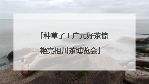 种草了！广元好茶惊艳亮相川茶博览会