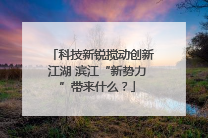 科技新锐搅动创新江湖 滨江“新势力”带来什么？