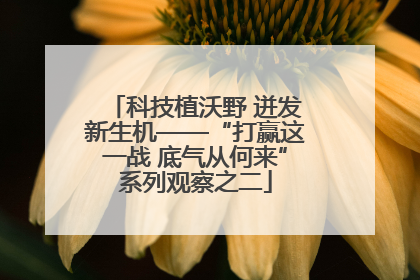 科技植沃野 迸发新生机——“打赢这一战 底气从何来”系列观察之二