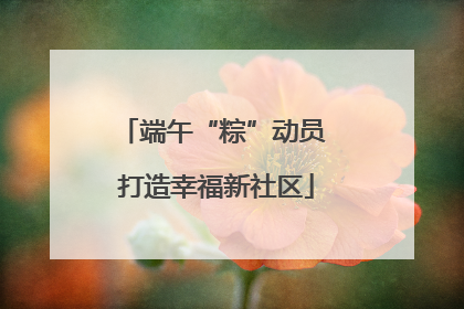 端午“粽”动员 打造幸福新社区