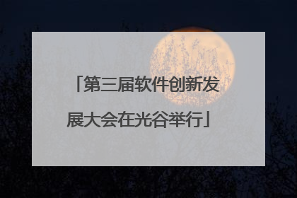 第三届软件创新发展大会在光谷举行