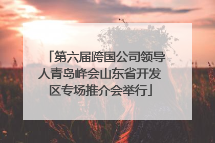 第六届跨国公司领导人青岛峰会山东省开发区专场推介会举行