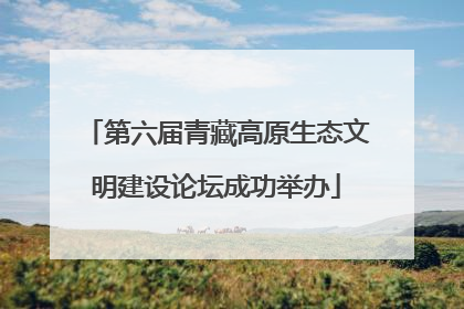 第六届青藏高原生态文明建设论坛成功举办