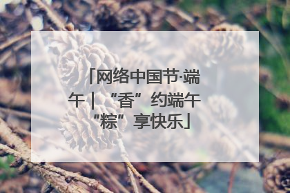网络中国节·端午｜“香”约端午 “粽”享快乐