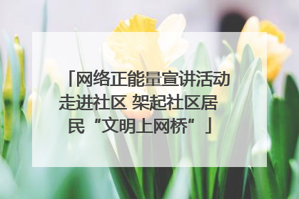 网络正能量宣讲活动走进社区 架起社区居民“文明上网桥”