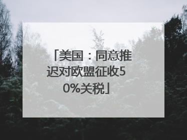 美国：同意推迟对欧盟征收50%关税