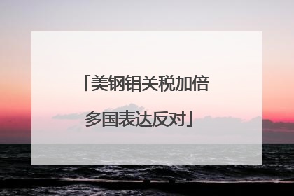 美钢铝关税加倍 多国表达反对