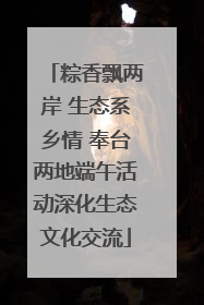 粽香飘两岸 生态系乡情 奉台两地端午活动深化生态文化交流
