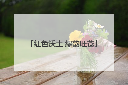 红色沃土 绿韵旺苍
