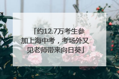 约12.7万考生参加上海中考，考场外又见老师带来向日葵