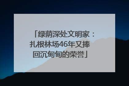 绿荫深处文明家：扎根林场46年又捧回沉甸甸的荣誉