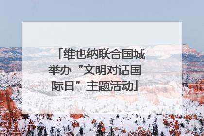 维也纳联合国城举办“文明对话国际日”主题活动