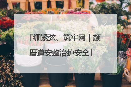 绷紧弦、筑牢网｜颜厝道安整治护安全