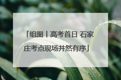 组图丨高考首日 石家庄考点现场井然有序