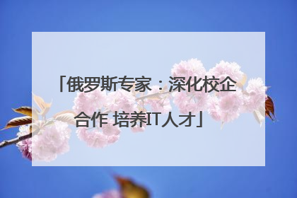 俄罗斯专家：深化校企合作 培养IT人才