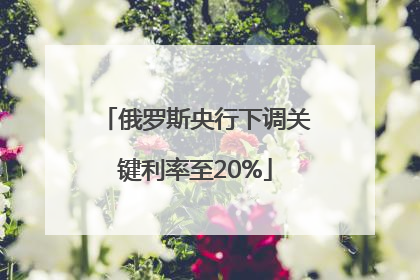 俄罗斯央行下调关键利率至20%