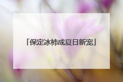 保定冰柿成夏日新宠