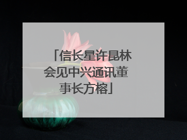信长星许昆林会见中兴通讯董事长方榕