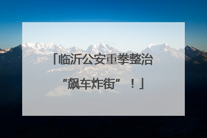 临沂公安重拳整治“飙车炸街”！