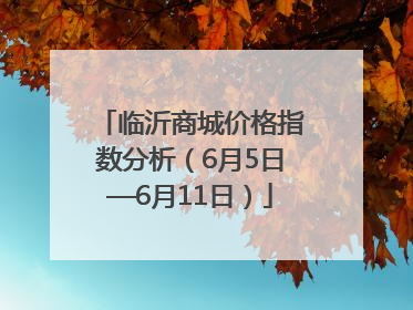 临沂商城价格指数分析（6月5日—6月11日）