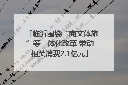 临沂围绕“商文体旅”等一体化改革 带动相关消费2.1亿元