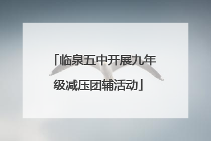 临泉五中开展九年级减压团辅活动