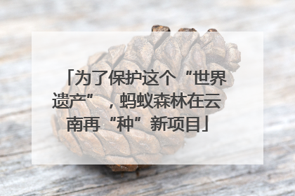 为了保护这个“世界遗产”，蚂蚁森林在云南再“种”新项目