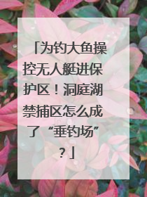 为钓大鱼操控无人艇进保护区！洞庭湖禁捕区怎么成了“垂钓场”？