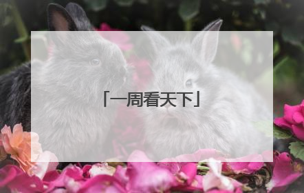 一周看天下