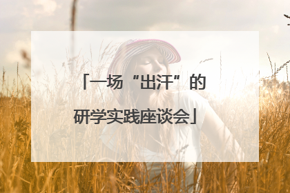 一场“出汗”的研学实践座谈会