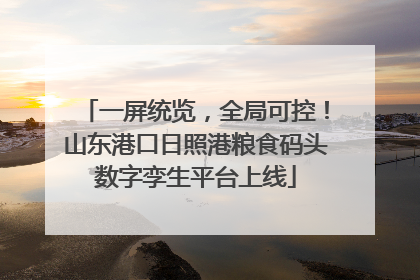 一屏统览，全局可控！山东港口日照港粮食码头数字孪生平台上线