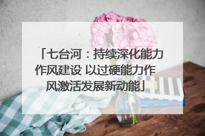 七台河：持续深化能力作风建设 以过硬能力作风激活发展新动能