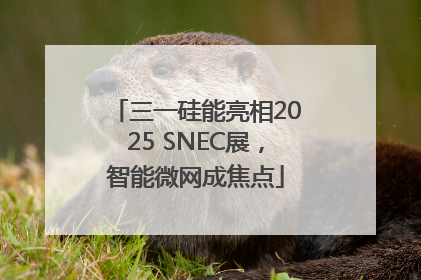 三一硅能亮相2025 SNEC展，智能微网成焦点